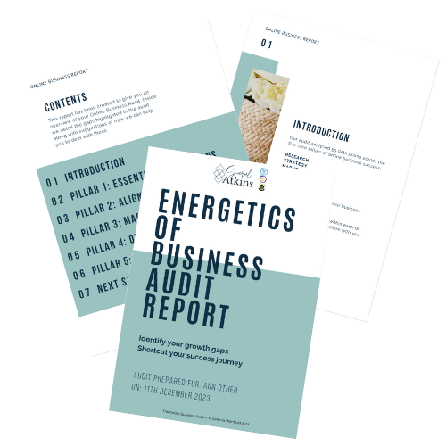 3 example pages from the Energetics of Being business audit
